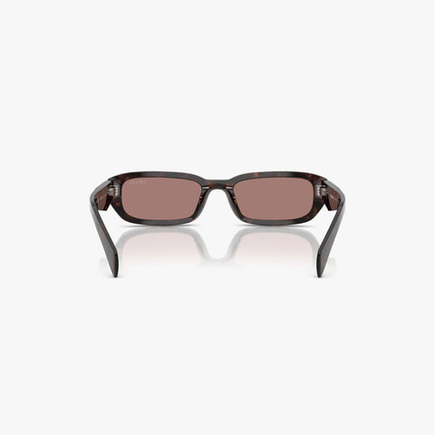 Prada PR B06S - 17N60B - Tortoise