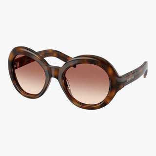 Prada PR D08SU - 20D70X - Tortoise