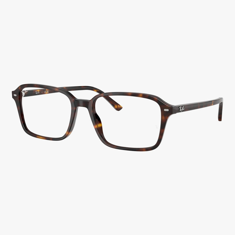 Ray-Ban RAIMOND - 2012 - Havana