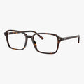 Ray-Ban RAIMOND - 2012 - Havana