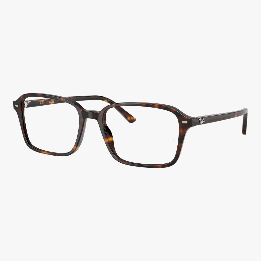 Ray-Ban RAIMOND - 2012 - Havana