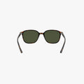 Ray-Ban LEONARD - 902/31 - Tortoise