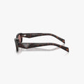 Prada PR B06S - 17N60B - Tortoise