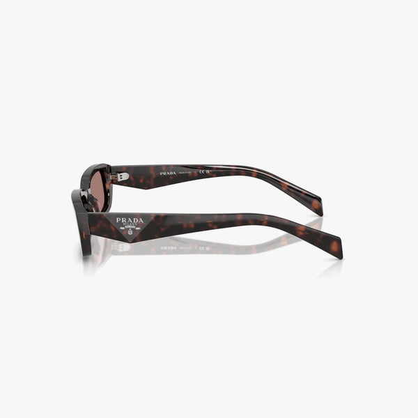Prada PR B06S - 17N60B - Tortoise