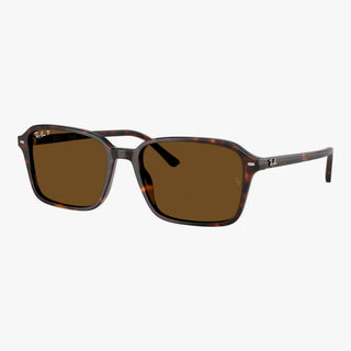 Ray-Ban RAIMOND - 902/57 - Havana