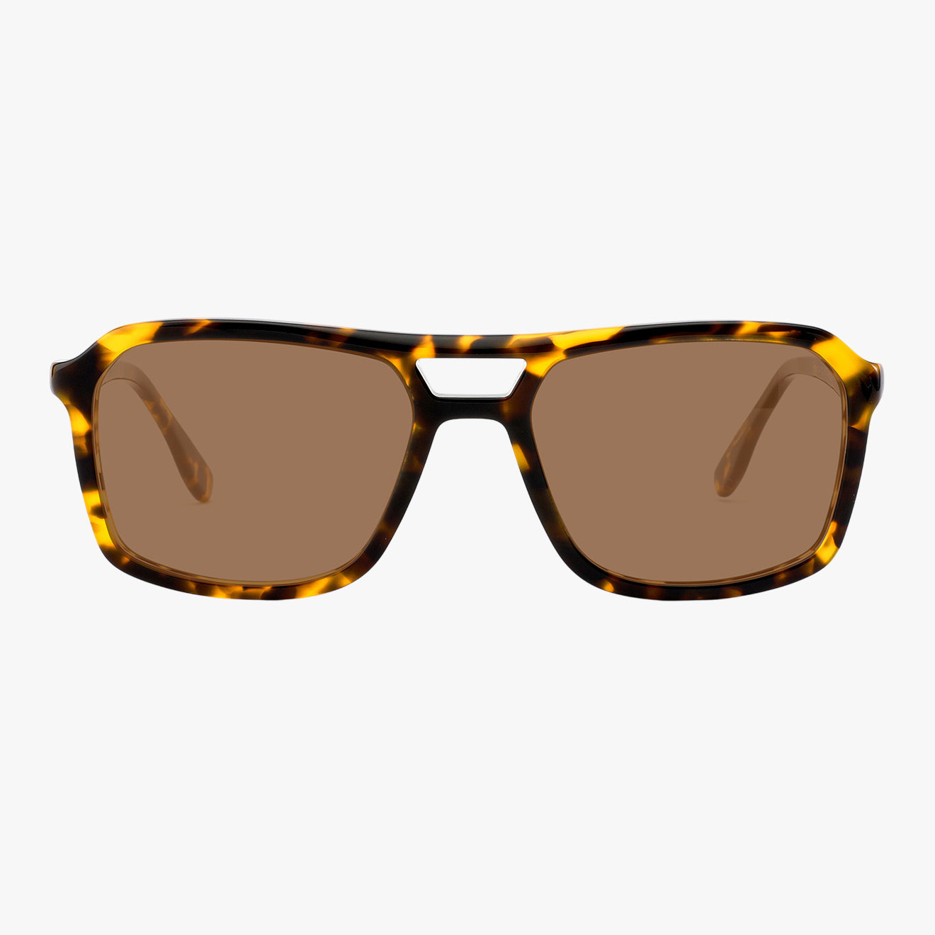 Crescendo - Tortoise