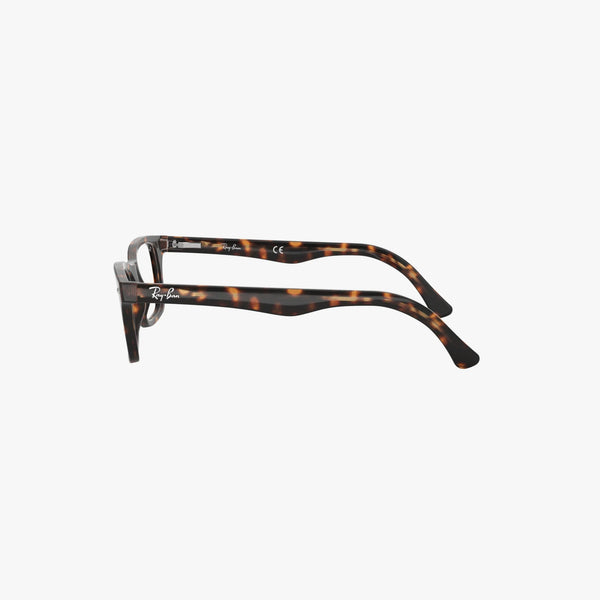 Ray-Ban RX5228 - 2012 - Havana