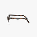 Ray-Ban RX5228 - 2012 - Havana