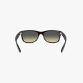 Ray-Ban NEW WAYFARER - 894/76 - Havana
