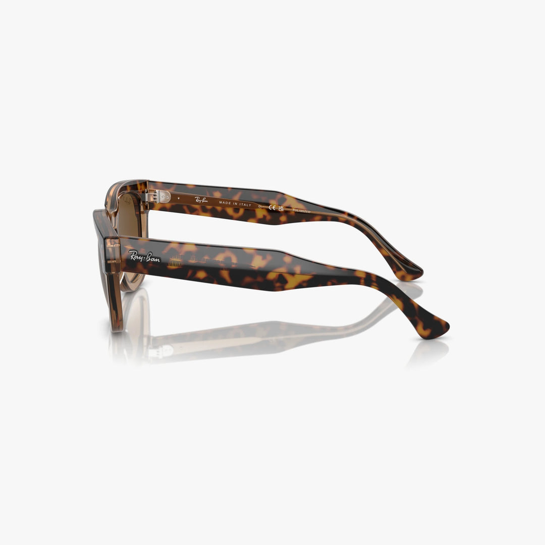 Ray-Ban MEGA HAWKEYE - 1292M2 - Havana på transparent brun