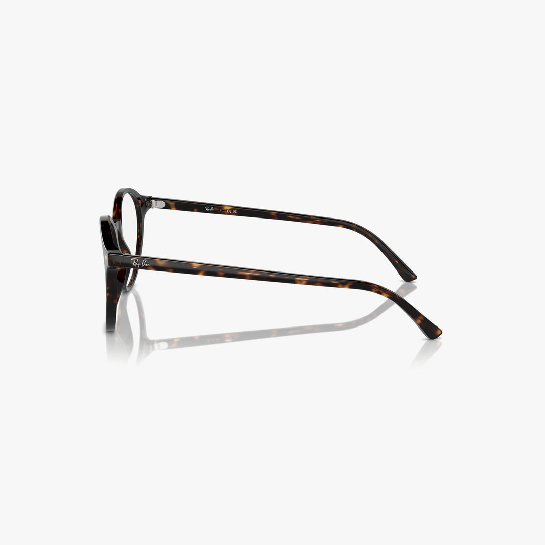 Ray-Ban BERNARD - 2012 - Havana