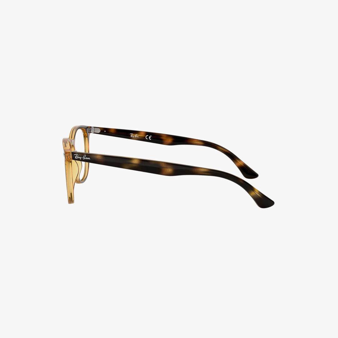 Ray-Ban RX7159 - 2012 - Havana