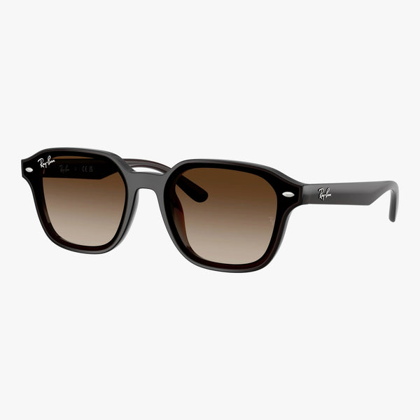 Ray-Ban RB4458D - 714/13 - Transparent brun