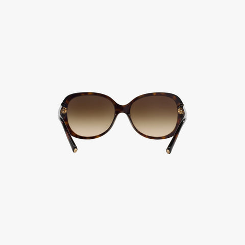 Giorgio Armani AR8047 - 502613 - Havana