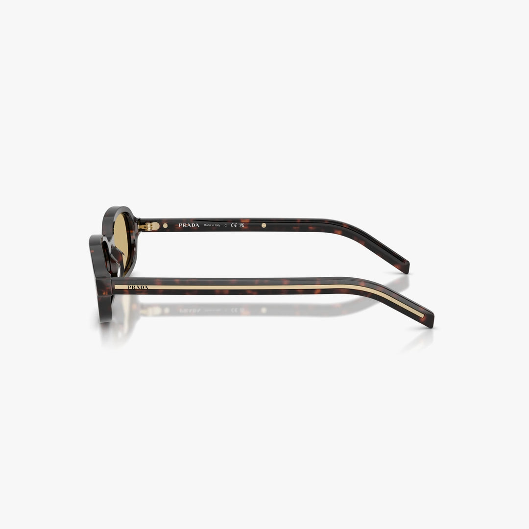 Prada PR D06S - 17N70R - Tortoise