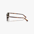 Persol GAE - 24/31 - Havana