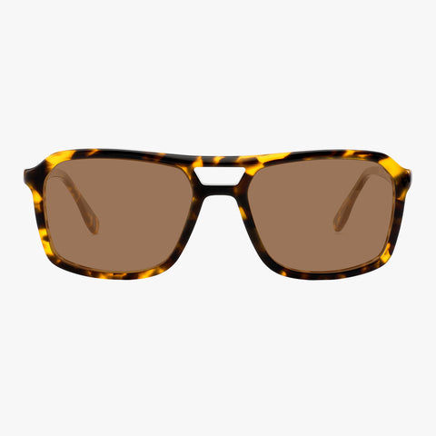 Crescendo - Tortoise