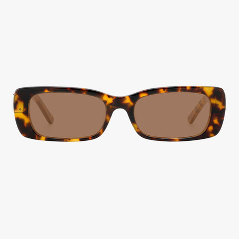 Marcellus - Tortoise