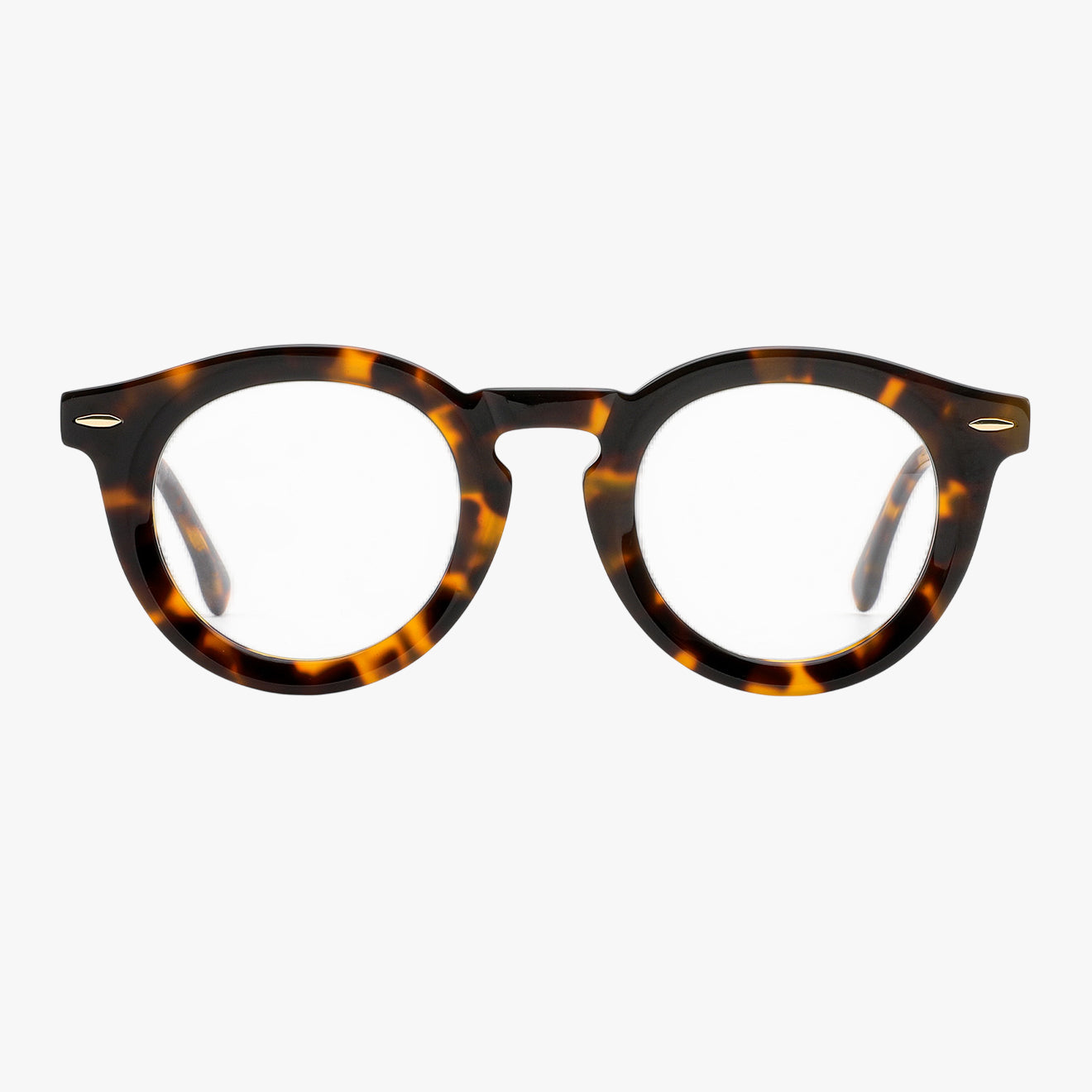 Aurélien - Tortoise