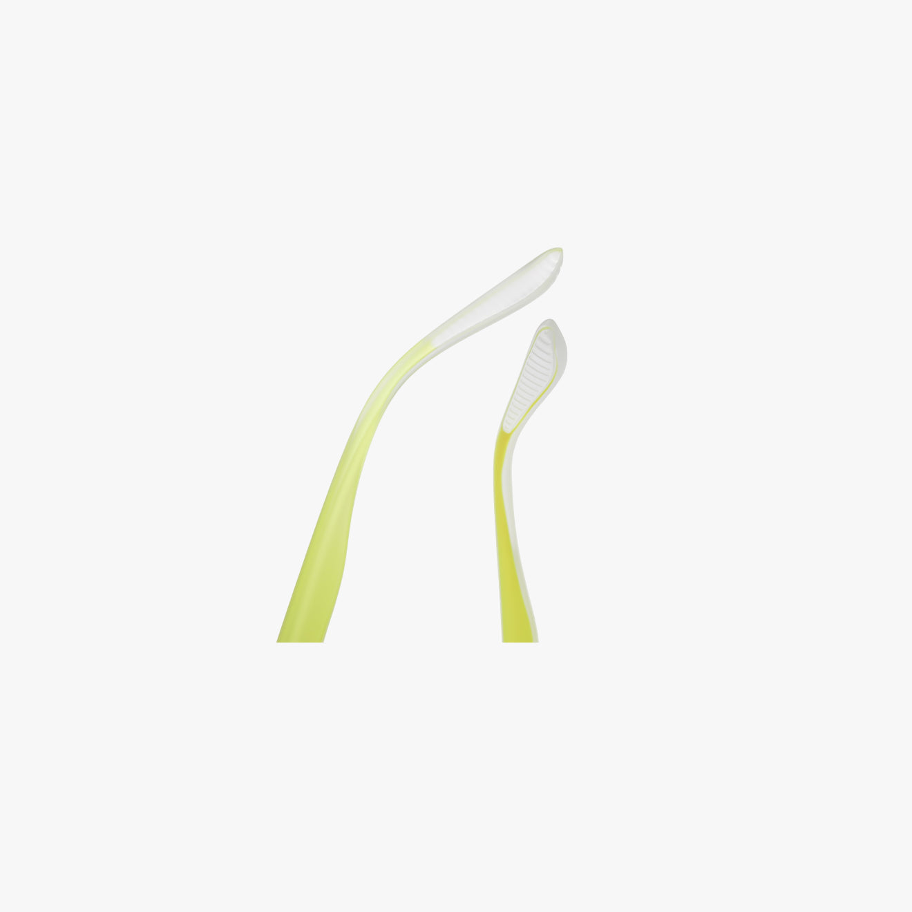 Orvalis - Transparent