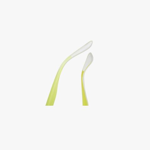 Orvalis - Transparent