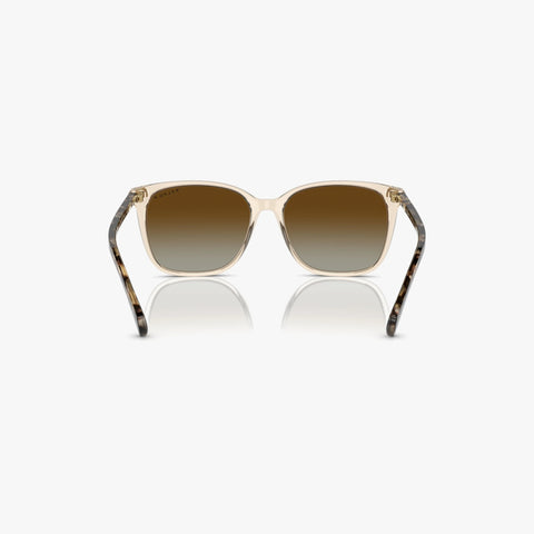 Ralph Lauren VVCV - 6072T5 - Transparent brun