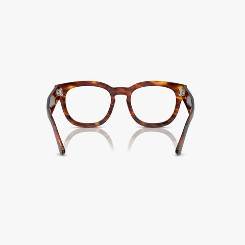 Ray-Ban MEGA HAWKEYE - 2144 - Havana