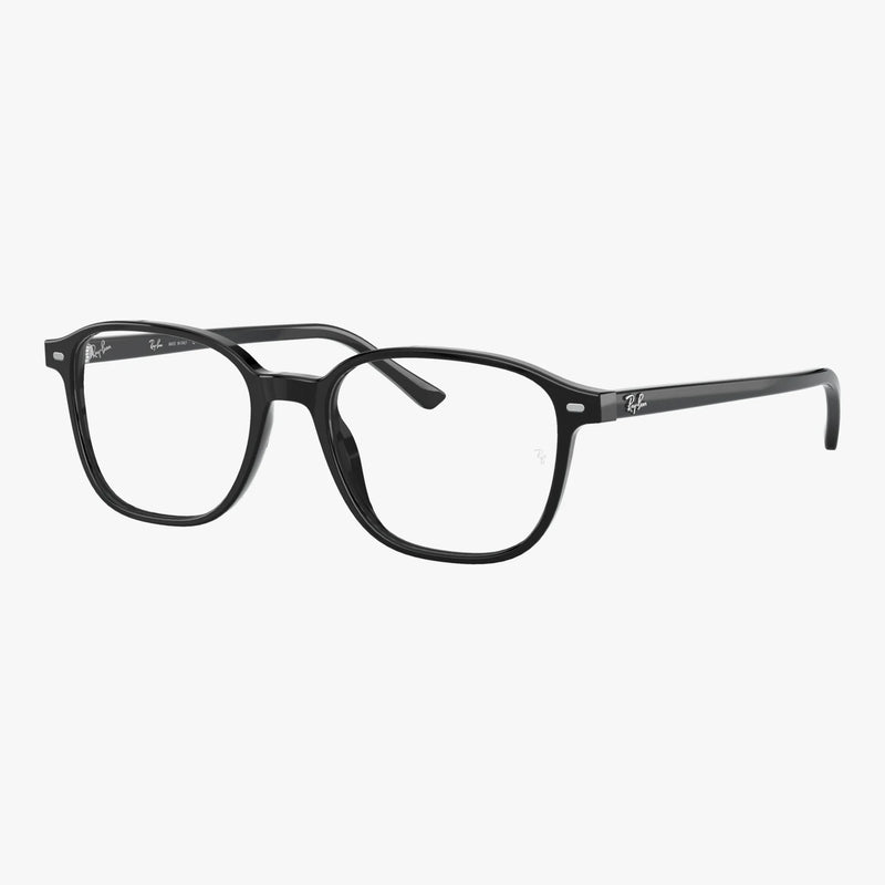 Ray-Ban LEONARD - 2000 sort panto brille