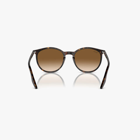 Ray-Ban RB2204 - 902/51 - Havana