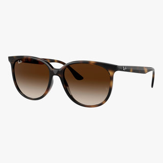 Ray-Ban RB4378 - 710/13 - Havana