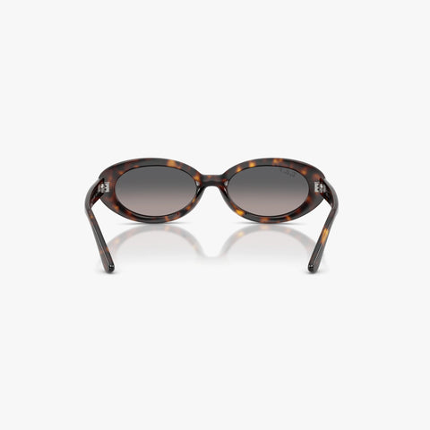 Ray-Ban RB2223 - 902/M3 - Havana