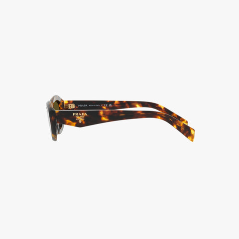 Prada PR 26ZS - 14L09Z - Honning tortoise