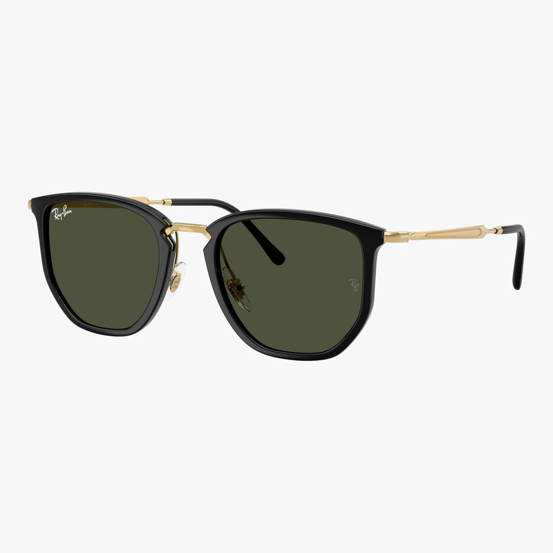 Ray-Ban RB4451 - 630631 - Sort