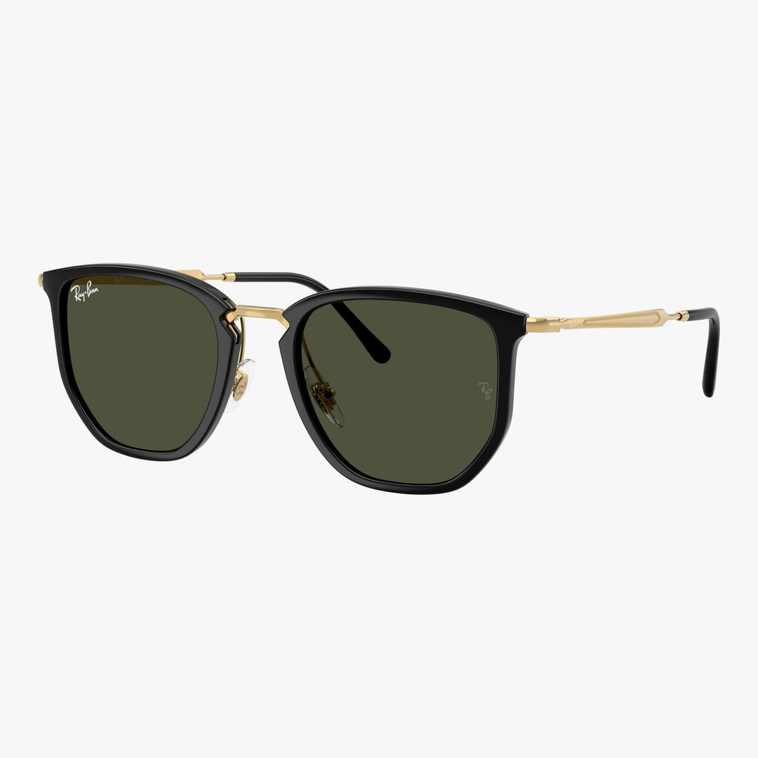 Ray-Ban RB4451 - 630631 - Sort