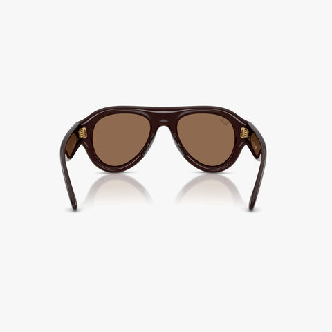 Ray-Ban RB4925 - 689673 - Transparent brun