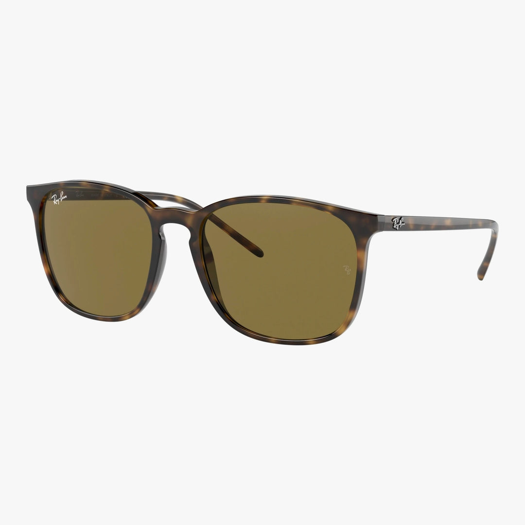 Ray-Ban RB4387 - 710/73 - Lys havana