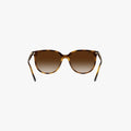 Ray-Ban RB4378 - 710/13 - Havana