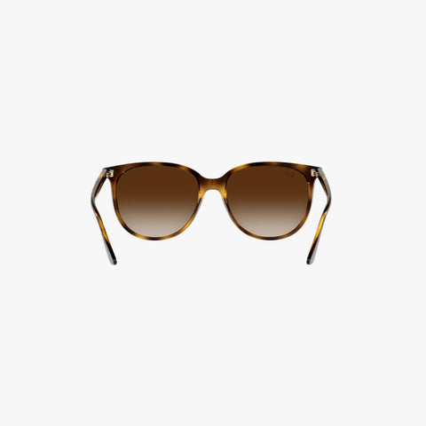 Ray-Ban RB4378 - 710/13 - Havana