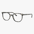Ray-Ban ELLIOT - 8117 - Grå havana