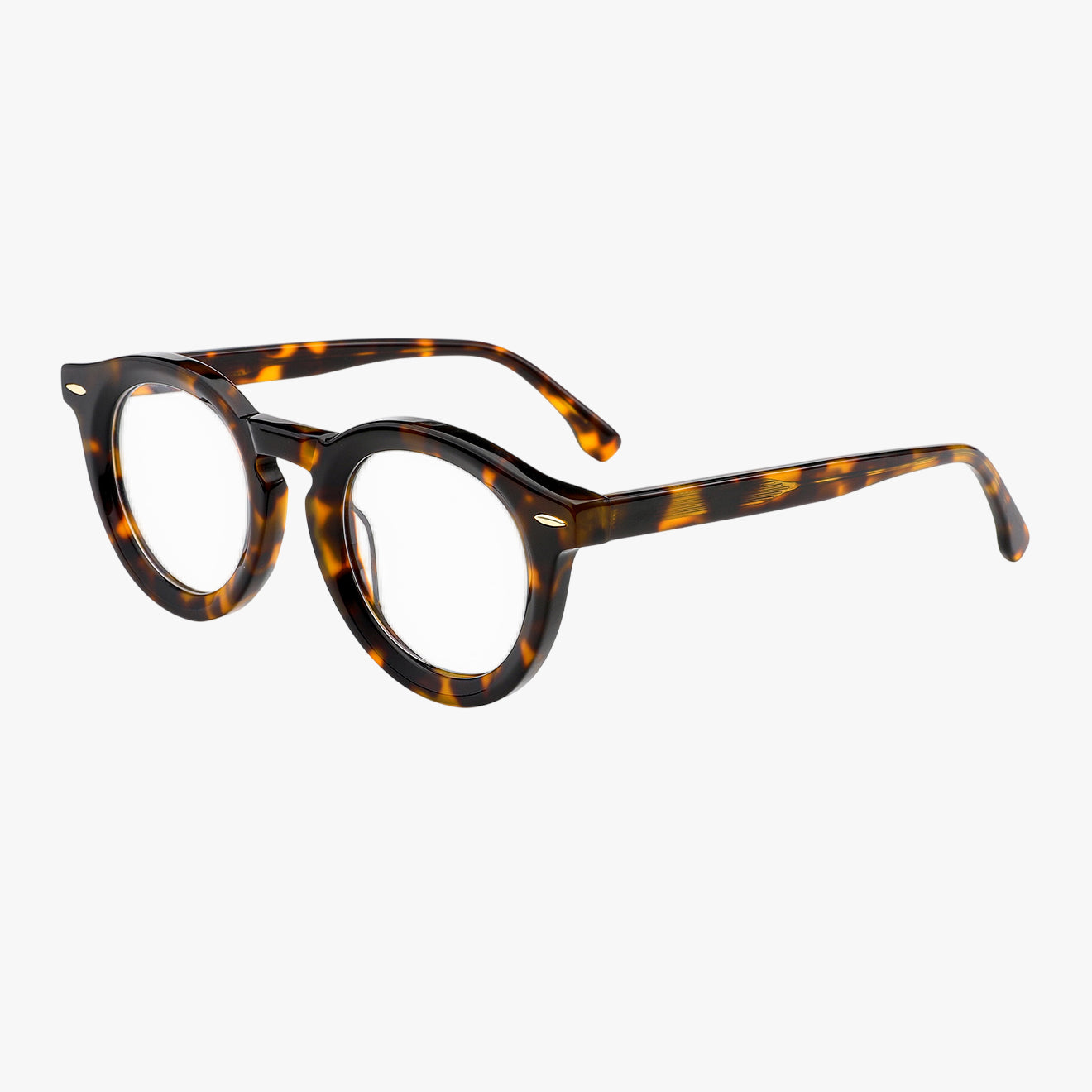 Aurélien - Tortoise