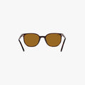 Ray-Ban ELLIOT - 902/33 - Havana