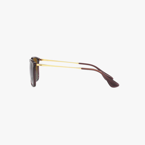 Ray-Ban CHRIS - 6593T5 - Transparent brun