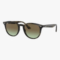 Ray-Ban RB4259 - 731/E8 - Grå havana