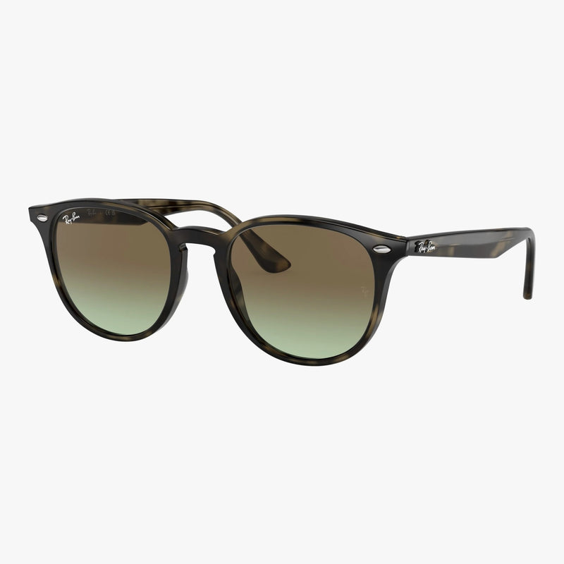 Ray-Ban RB4259 - 731/E8 - Grå havana
