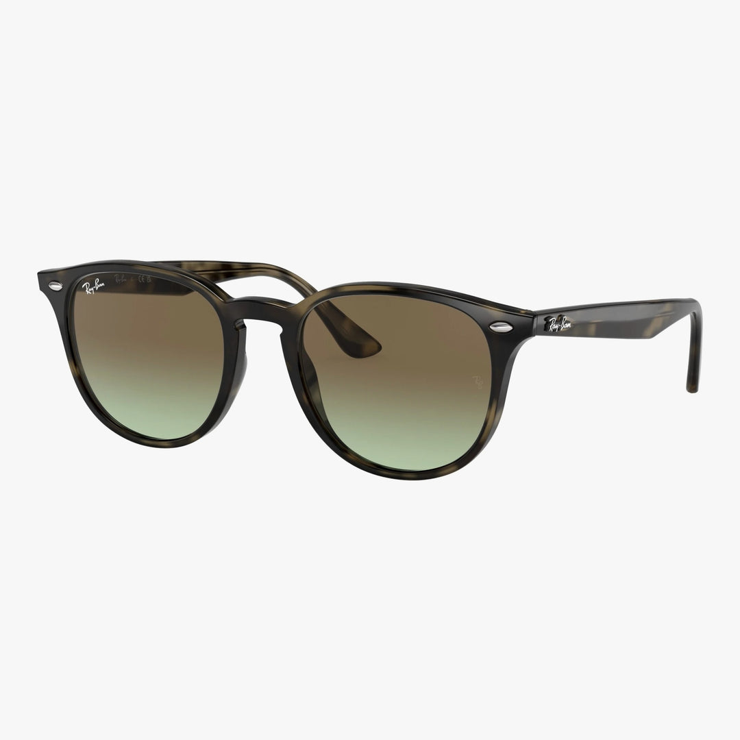 Ray-Ban RB4259 - 731/E8 - Grå havana
