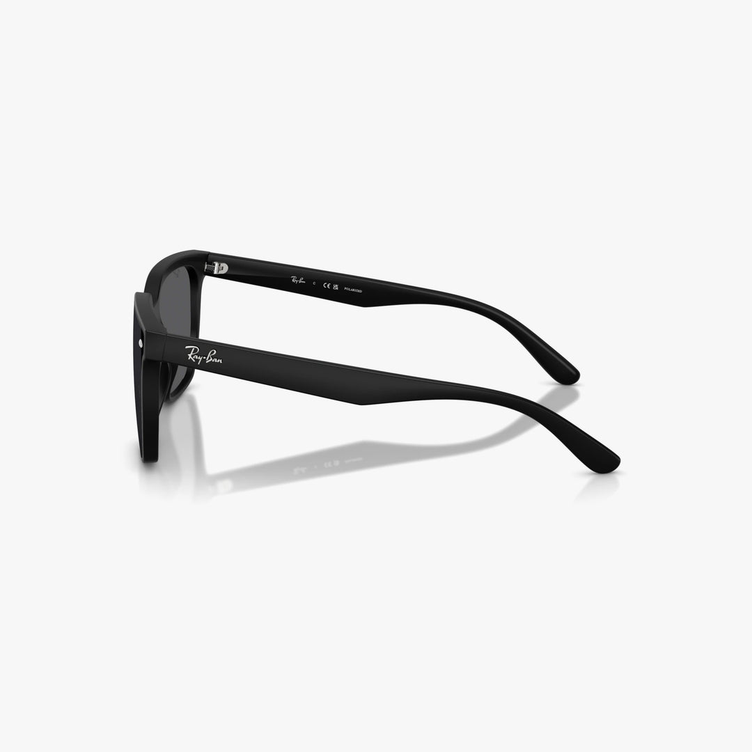Ray-Ban RB4466D - 601S81 - Mat sort