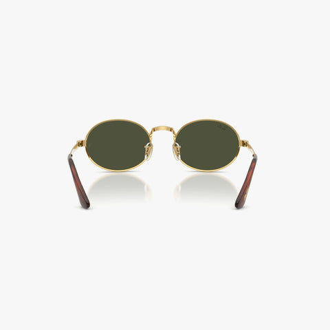 Ray-Ban RB3931 - 001/31 - Guld og brun