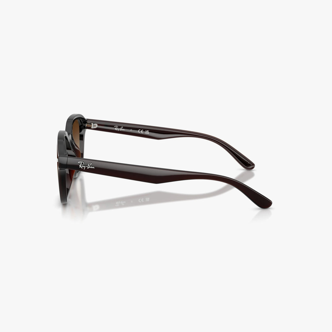 Ray-Ban RB4458D - 714/13 - Transparent brun