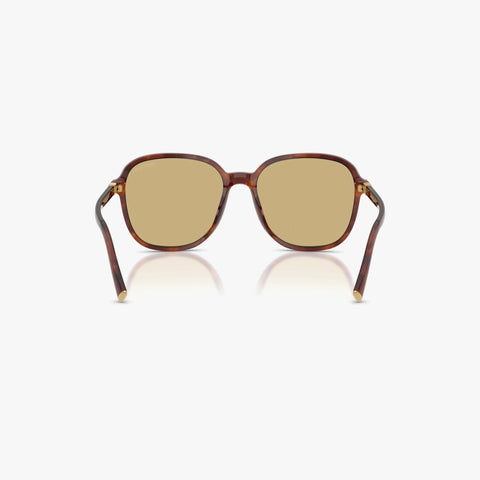 Miu Miu MU B01S - 26E10R - Tortoise