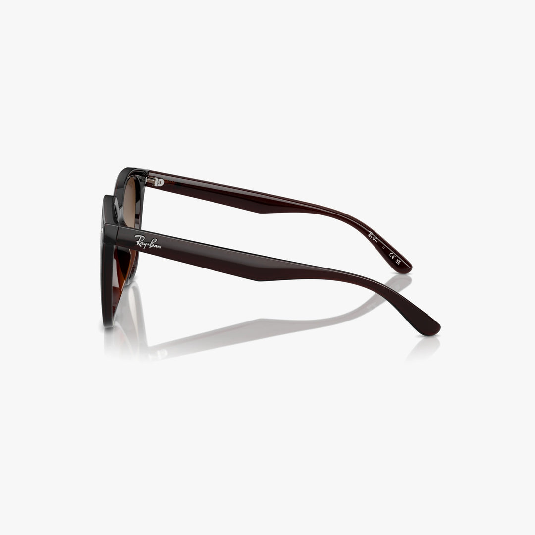 Ray-Ban RB4423D - 714/13 - Transparent brun